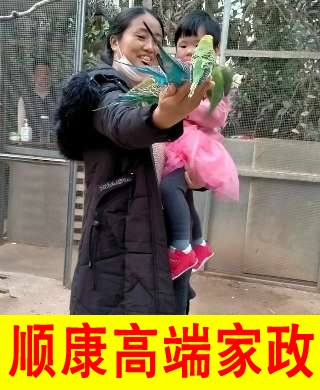 杜阿姨