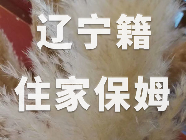 大量遼寧籍高中文化住家保姆,實(shí)在是太好了
